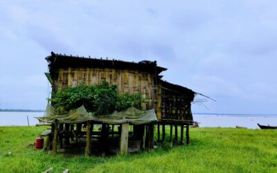 ನೀರ ನೆಲದ ಮೇಲೆ ನೂರಾರು ಮನೆ – ಧೊದಿಯಾ: ಹೇಮಾ ನಾಯಕ ಬರಹ