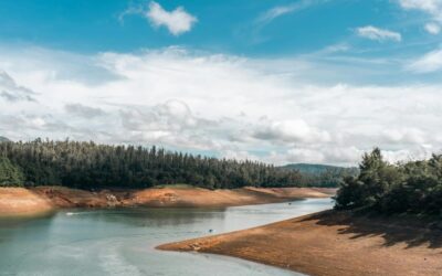 ಹೊಳೆಯೊಂದು ಹರಿದ್ಹಾಂಗೆ…..: ಸುಧಾ ಆಡುಕಳ ಅಂಕಣ