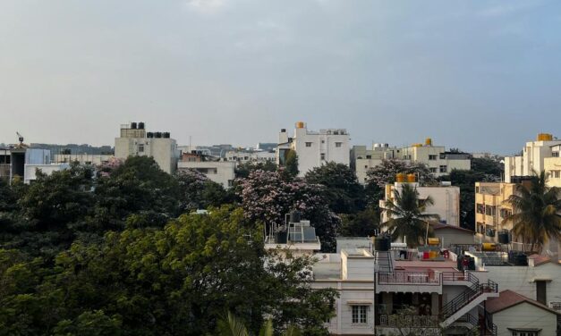 ಹತ್ತು ಮಹಡಿಯ ಭರ್ಜರಿ ಪ್ಲಾನು….: ಎಚ್.ಗೋಪಾಲಕೃಷ್ಣ ಸರಣಿ