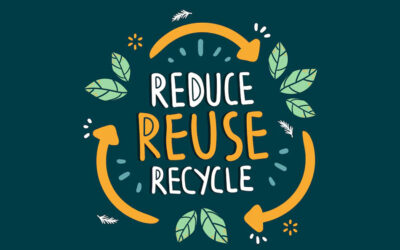 ನಮ್ಮ ಭೂಮಿಗೆ ಈ ಪುಟ್ಟ ಕಾಣಿಕೆಯನ್ನಾದರೂ ಕೊಡೋಣ..: ಬಿ.ಸಂ.ಸುವರ್ಚಲಾ ಬರಹ