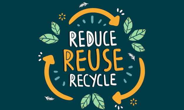 ನಮ್ಮ ಭೂಮಿಗೆ ಈ ಪುಟ್ಟ ಕಾಣಿಕೆಯನ್ನಾದರೂ ಕೊಡೋಣ..: ಬಿ.ಸಂ.ಸುವರ್ಚಲಾ ಬರಹ