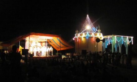 ನಮ್ಮ ಪರಿಸೆಗಳು: ಸುಮಾ ಸತೀಶ್ ಸರಣಿ