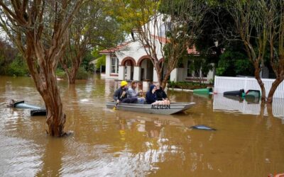 ಹೊಸವರ್ಷ, ಹೊಸಜೀವನದ ಮಜಲುಗಳು: ವಿನತೆ ಶರ್ಮ ಅಂಕಣ