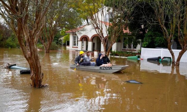 ಹೊಸವರ್ಷ, ಹೊಸಜೀವನದ ಮಜಲುಗಳು: ವಿನತೆ ಶರ್ಮ ಅಂಕಣ