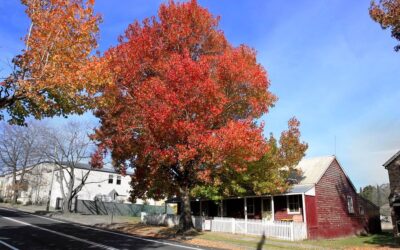 ಆಟ ಕಟ್ಟಲು ಕಣದ ಸಿದ್ಧತೆ: ಡಾ. ವಿನತೆ ಶರ್ಮ ಅಂಕಣ