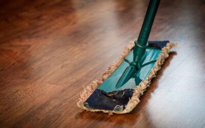 ಮನೆವಾಳ್ತೆ ಎಂಬ ಹೊನ್ನ ಸಂಕೋಲೆ: ಎಲ್.ಜಿ.ಮೀರಾ ಅಂಕಣ