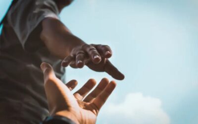 ಮೌಲ್ಯಗಳು ಹಿಂದುಮುಂದಾಗುವ ಸಮಯದಲ್ಲಿ…: ವಿಶ್ವನಾಥ ಎನ್‌ ನೇರಳಕಟ್ಟೆ ಬರಹ