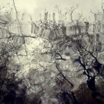 ವಿಶಾಲ್ ಮ್ಯಾಸರ ಬರೆದ ಈ ದಿನದ ಕವಿತೆ