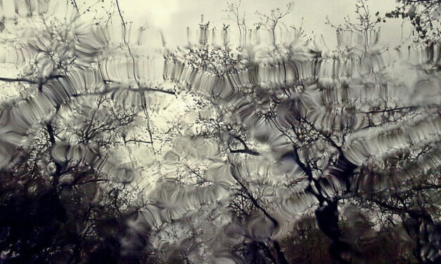 ವಿಶಾಲ್ ಮ್ಯಾಸರ ಬರೆದ ಈ ದಿನದ ಕವಿತೆ