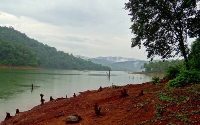 ಭವ್ಯ ಟಿ.ಎಸ್. ಹೊಸ ಸರಣಿ “ಮಲೆನಾಡಿನ ಹಾಡು-ಪಾಡು” ಶುರು