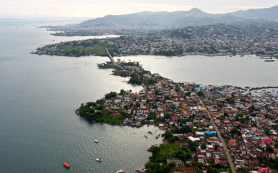 ಫ್ರೆಂಚ್ ಹಸ್ತದಿಂದ ಮುಕ್ತವಾದ ಗಿಣಿ ಗಿನಿಯಾ: ಡಾ. ವಿಶ್ವನಾಥ ನೇರಳಕಟ್ಟೆ ಸರಣಿ