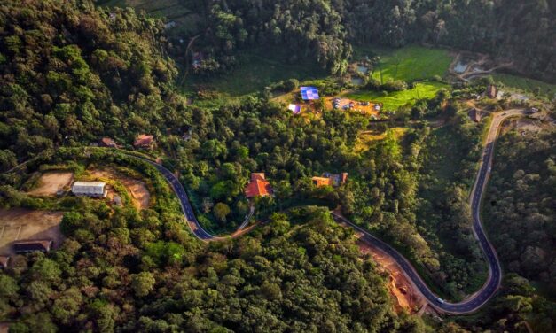 ಏಳು….. ಕೋಡಗ…… ಕೊಡಗು: ಸುಮಾವೀಣಾ  ಸರಣಿ