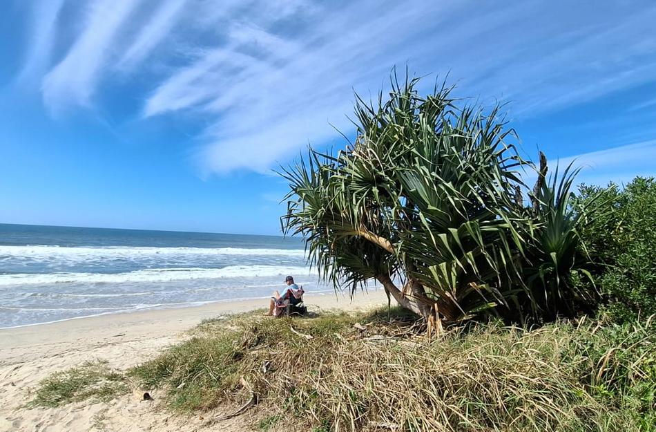 ಶರತ್ಕಾಲದ ರಂಗುರಂಗಿನ ಪ್ರಚಾರ: ಡಾ. ವಿನತೆ ಶರ್ಮ ಅಂಕಣ