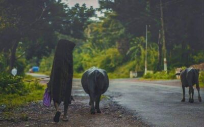 ಮಳೆ ತಂದ ನೆನಪಿನ ಚಿತ್ರಮಾಲೆ!!: ಭವ್ಯ ಟಿ.ಎಸ್. ಸರಣಿ