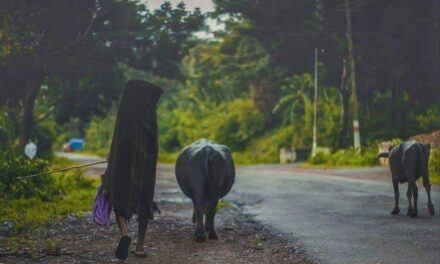 ಮಳೆ ತಂದ ನೆನಪಿನ ಚಿತ್ರಮಾಲೆ!!: ಭವ್ಯ ಟಿ.ಎಸ್. ಸರಣಿ