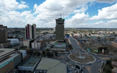 ಏಳು ಸುತ್ತಿನ ಕೋಟೆಯ ನಡುವೆ ಜಾಂಬಿಯಾ: ಡಾ. ವಿಶ್ವನಾಥ ನೇರಳಕಟ್ಟೆ ಸರಣಿ