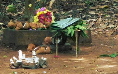 ಪ್ರಕೃತಿಯೇ ದೈವವೆನ್ನುವ ದೈಯ್ಯದ ಹರಕೆ: ಭವ್ಯ ಟಿ.ಎಸ್. ಸರಣಿ