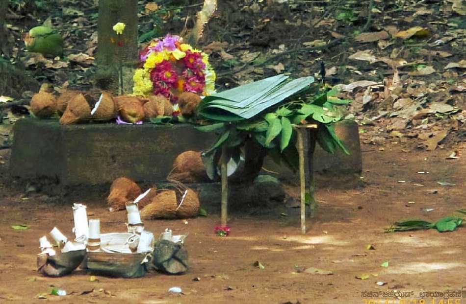 ಪ್ರಕೃತಿಯೇ ದೈವವೆನ್ನುವ ದೈಯ್ಯದ ಹರಕೆ: ಭವ್ಯ ಟಿ.ಎಸ್. ಸರಣಿ