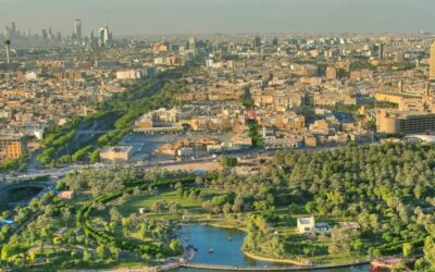 ಸೌದಿಯ ಹೊಸ ಮೆಗಾ ಪ್ರಾಜೆಕ್ಟ್‌!: ದರ್ಶನ್‌ ಜಯಣ್ಣ ಸರಣಿ