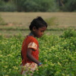 ಬರೀ ನಾಲ್ಕು ಗೋಡೆಯ ಮಧ್ಯೆ ಕಲಿಯುವುದೇ ಶಿಕ್ಷಣವಲ್ಲ…!!: ಬಸವನಗೌಡ ಹೆಬ್ಬಳಗೆರೆ ಸರಣಿ