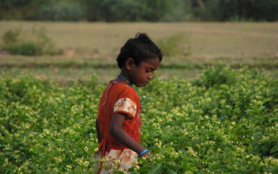 ಬರೀ ನಾಲ್ಕು ಗೋಡೆಯ ಮಧ್ಯೆ ಕಲಿಯುವುದೇ ಶಿಕ್ಷಣವಲ್ಲ…!!: ಬಸವನಗೌಡ ಹೆಬ್ಬಳಗೆರೆ ಸರಣಿ