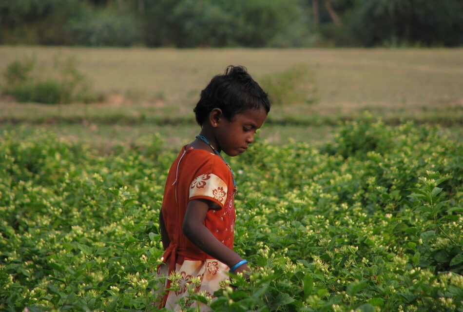 ಬರೀ ನಾಲ್ಕು ಗೋಡೆಯ ಮಧ್ಯೆ ಕಲಿಯುವುದೇ ಶಿಕ್ಷಣವಲ್ಲ…!!: ಬಸವನಗೌಡ ಹೆಬ್ಬಳಗೆರೆ ಸರಣಿ
