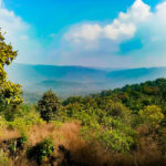 ರೂಪಾ ರವೀಂದ್ರ ಜೋಶಿ ಹೊಸ ಸರಣಿ “ಹಸಿರ ಮಲೆನಾಡಲ್ಲಿ ಹಸನಾದ ಬಾಲ್ಯ” ಇಂದಿನಿಂದ