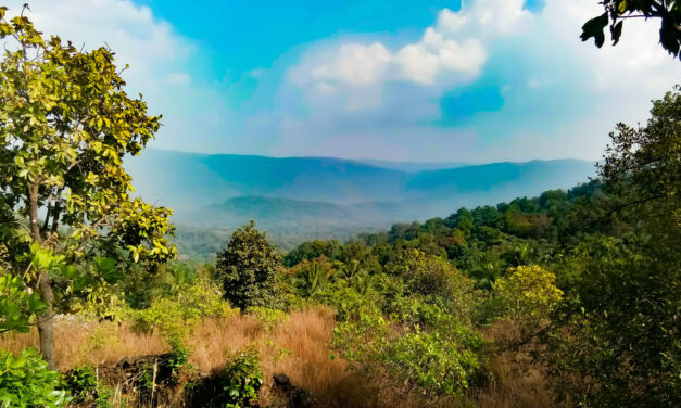 ರೂಪಾ ರವೀಂದ್ರ ಜೋಶಿ ಹೊಸ ಸರಣಿ “ಹಸಿರ ಮಲೆನಾಡಲ್ಲಿ ಹಸನಾದ ಬಾಲ್ಯ” ಇಂದಿನಿಂದ