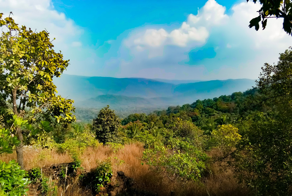ರೂಪಾ ರವೀಂದ್ರ ಜೋಶಿ ಹೊಸ ಸರಣಿ “ಹಸಿರ ಮಲೆನಾಡಲ್ಲಿ ಹಸನಾದ ಬಾಲ್ಯ” ಇಂದಿನಿಂದ