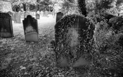 ಮನೆಯವರ ಮನಗಳಲ್ಲಿ ಸಾಯುವವರ ಕತೆ: ರೂಪಶ್ರೀ ಕಲ್ಲಿಗನೂರ್‌ ಬರಹ