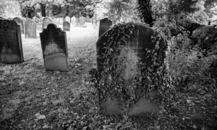 ಮನೆಯವರ ಮನಗಳಲ್ಲಿ ಸಾಯುವವರ ಕತೆ: ರೂಪಶ್ರೀ ಕಲ್ಲಿಗನೂರ್‌ ಬರಹ