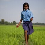 ನಮ್ಮ ಕಾಲದ ಕೃಷಿ….: ರೂಪಾ ರವೀಂದ್ರ ಜೋಶಿ ಸರಣಿ