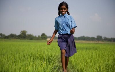ನಮ್ಮ ಕಾಲದ ಕೃಷಿ….: ರೂಪಾ ರವೀಂದ್ರ ಜೋಶಿ ಸರಣಿ