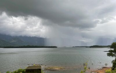 ಶ್ರಾವಣ ಬಂತೂ ನಾಡಿಗೆ….: ಮಹಾಲಕ್ಷ್ಮೀ ಕೆ. ಎನ್. ಬರಹ