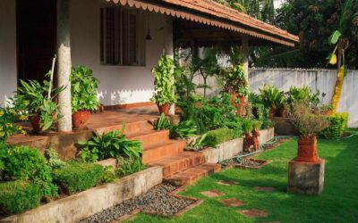 ಮನೆಯಂಗಳದ ನಾಕವೀ ಹೂವಿನಲೋಕ: ಭವ್ಯ ಟಿ.ಎಸ್. ಸರಣಿ