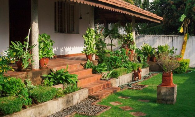 ಮನೆಯಂಗಳದ ನಾಕವೀ ಹೂವಿನಲೋಕ: ಭವ್ಯ ಟಿ.ಎಸ್. ಸರಣಿ