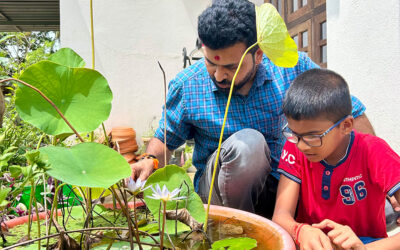 ತಾವರೆಯ ಧ್ಯಾನ: ರವೀಂದ್ರ ನಾಯಕ್ ಸಣ್ಣಕ್ಕಿಬೆಟ್ಟು ಲಲಿತ ಪ್ರಬಂಧ