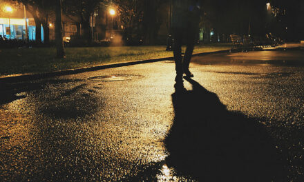 ಹೊಸ ಮನೆ… ಹೊಸ ಏರಿಯಾ.. ಹೊಸ ಸಮಸ್ಯೆಗಳು…: ಎಚ್. ಗೋಪಾಲಕೃಷ್ಣ ಸರಣಿ