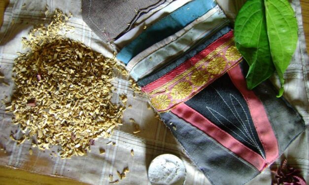 ಅನುರೂಪ ವಸ್ತುಗಳ ಸಂಚಯನ ಎಲೆ ಅಡಿಕೆ ಚೀಲ: ಸುಮಾವೀಣಾ ಸರಣಿ