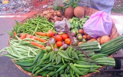 ಸವಿಯ ಬನ್ನಿ ಮಲೆನಾಡ ಊಟವ…: ರೂಪಾ ರವೀಂದ್ರ ಜೋಶಿ ಸರಣಿ