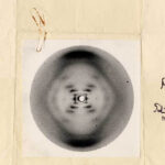 ಶೇಷಾದ್ರಿ ಗಂಜೂರು ಬರೆಯುವ ನೂತನ ವಿಜ್ಞಾನ ಸರಣಿ “ವಿಜ್ಞಾನದ ಕಥಾ ಪ್ರಸಂಗಗಳು” ಇಂದಿನಿಂದ