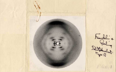 ಶೇಷಾದ್ರಿ ಗಂಜೂರು ಬರೆಯುವ ನೂತನ ವಿಜ್ಞಾನ ಸರಣಿ “ವಿಜ್ಞಾನದ ಕಥಾ ಪ್ರಸಂಗಗಳು” ಇಂದಿನಿಂದ