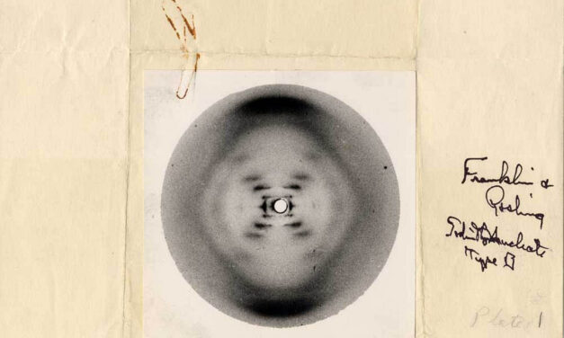 ಶೇಷಾದ್ರಿ ಗಂಜೂರು ಬರೆಯುವ ನೂತನ ವಿಜ್ಞಾನ ಸರಣಿ “ವಿಜ್ಞಾನದ ಕಥಾ ಪ್ರಸಂಗಗಳು” ಇಂದಿನಿಂದ