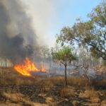 ಬೇಸಿಗೆ ತರಲಿರುವ ಅಸಹನೆ, ಆಕಾಂಕ್ಷೆ: ಡಾ. ವಿನತೆ ಶರ್ಮಾ ಅಂಕಣ