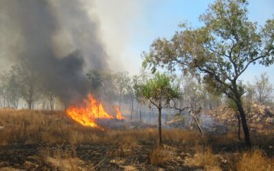 ಬೇಸಿಗೆ ತರಲಿರುವ ಅಸಹನೆ, ಆಕಾಂಕ್ಷೆ: ಡಾ. ವಿನತೆ ಶರ್ಮಾ ಅಂಕಣ