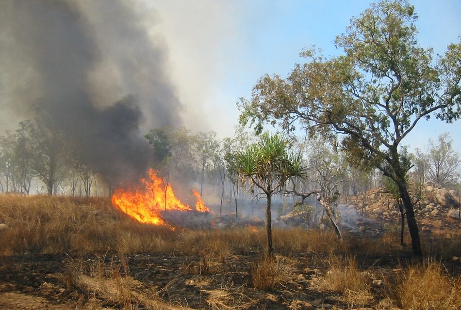 ಬೇಸಿಗೆ ತರಲಿರುವ ಅಸಹನೆ, ಆಕಾಂಕ್ಷೆ: ಡಾ. ವಿನತೆ ಶರ್ಮಾ ಅಂಕಣ