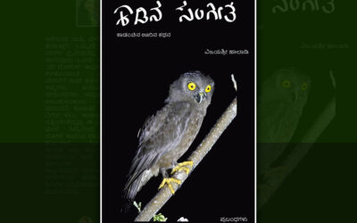 ನಾಯಿಕುರ್ಕನ ನೆರಳಿನಲ್ಲಿ: ವಿಜಯಶ್ರೀ ಹಾಲಾಡಿ ಕೃತಿಯ ಒಂದು ಪ್ರಬಂಧ