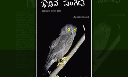 ನಾಯಿಕುರ್ಕನ ನೆರಳಿನಲ್ಲಿ: ವಿಜಯಶ್ರೀ ಹಾಲಾಡಿ ಕೃತಿಯ ಒಂದು ಪ್ರಬಂಧ
