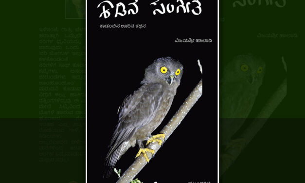 ನಾಯಿಕುರ್ಕನ ನೆರಳಿನಲ್ಲಿ: ವಿಜಯಶ್ರೀ ಹಾಲಾಡಿ ಕೃತಿಯ ಒಂದು ಪ್ರಬಂಧ
