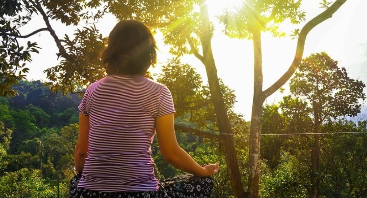 ಗುರು ಮತ್ತು ಹಕ್ಕಿಗೂಡು: ಸುಕನ್ಯಾ ಕನಾರಳ್ಳಿ ಅಂಕಣ